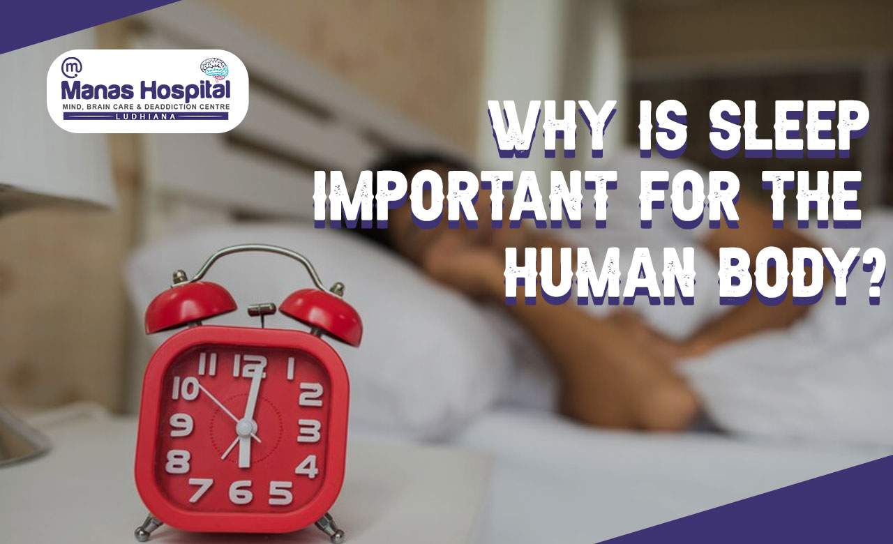 Why is sleep important for the human body?